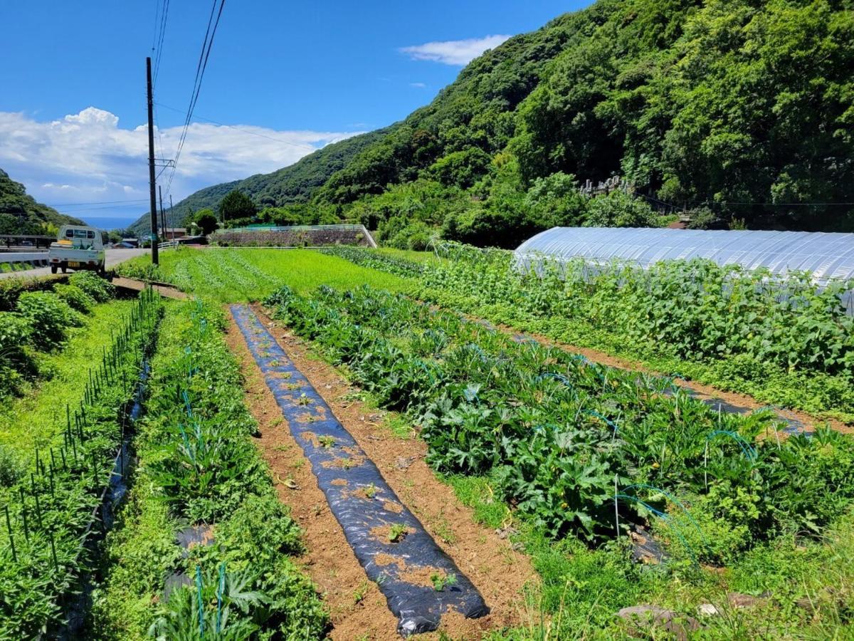 ホテル Awa Nishi-Izu 沼津市 エクステリア 写真